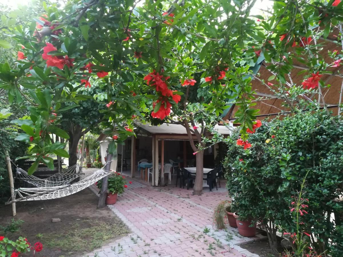 Kervan Pansiyon Çıralı Exteriör bild